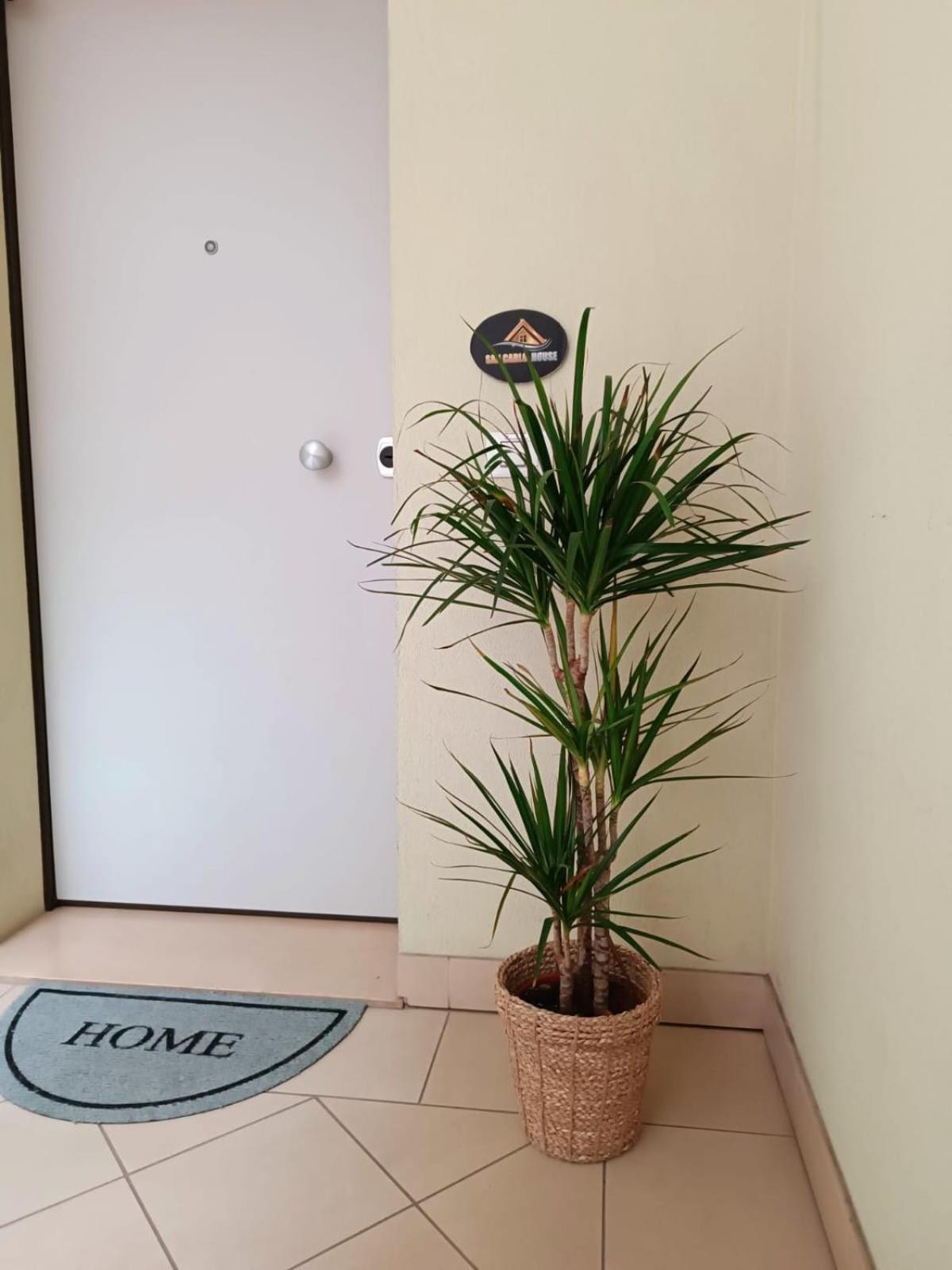 San Carlo House Lejlighed Castel Guelfo Di Bologna Eksteriør billede